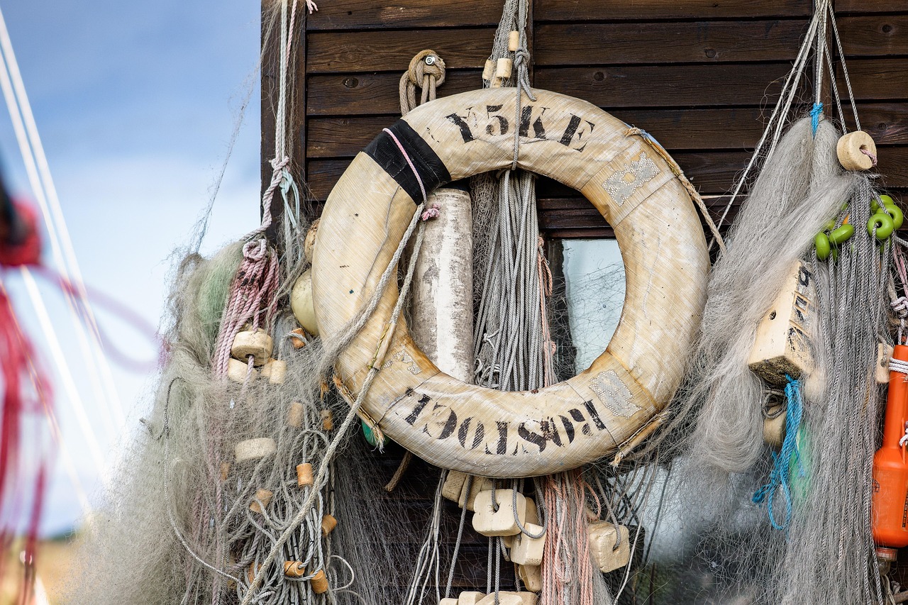 黄金叶100天叶:看韩国电影详情下载教程什么app